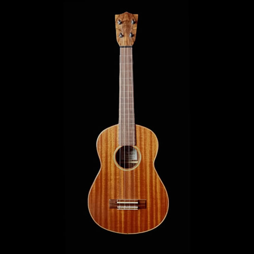 Aegithalos Tenor T2